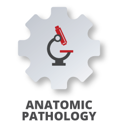 Anatomic Pathology
