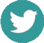 Twitter-Icon---Green